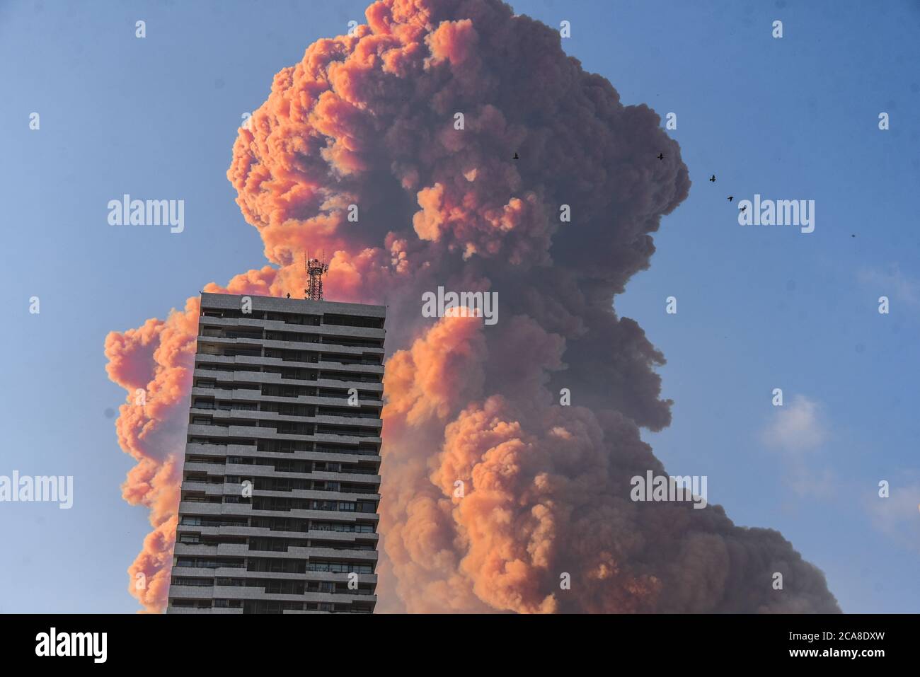 Beirut, Libano. 4th ago 2020. Un pennacchio rosso, considerato nitrato di ammonio immagazzinato in un magazzino, sorge dal porto di Beirut a seguito di un'enorme esplosione. L'ondata di esplosione causata dalla detonazione ha causato danni agli edifici fino a dieci miglia di distanza, uccidendo oltre 200 persone e ferendo più di 6000 persone. Credit: Elizabeth Fitt/Alamy Live News Foto Stock