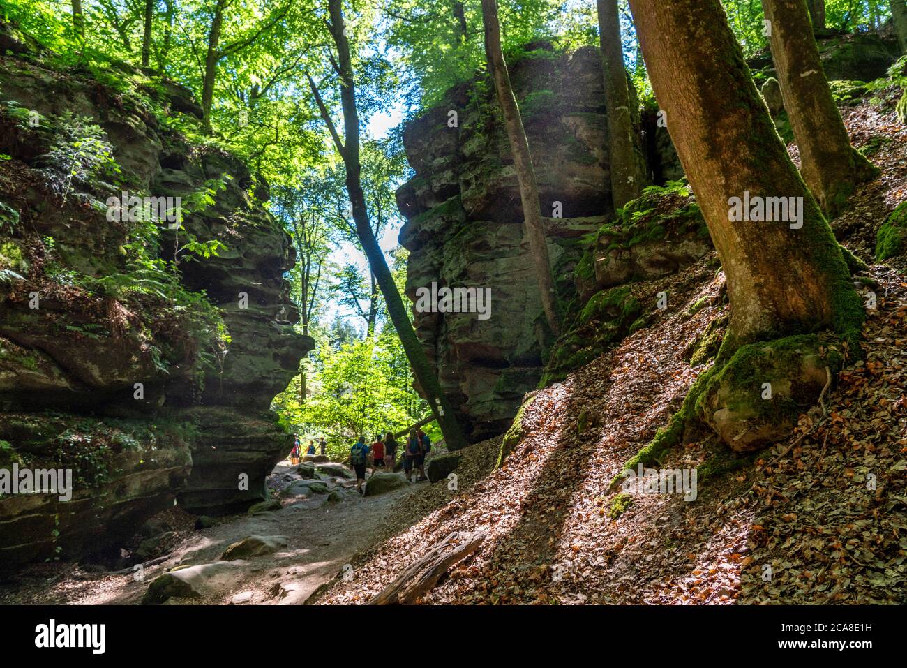 Sentiero per la Gola del Diavolo, vicino Irrel, Parco Naturale Südeifel, Rheinland-Pflanz, Germania, Foto Stock