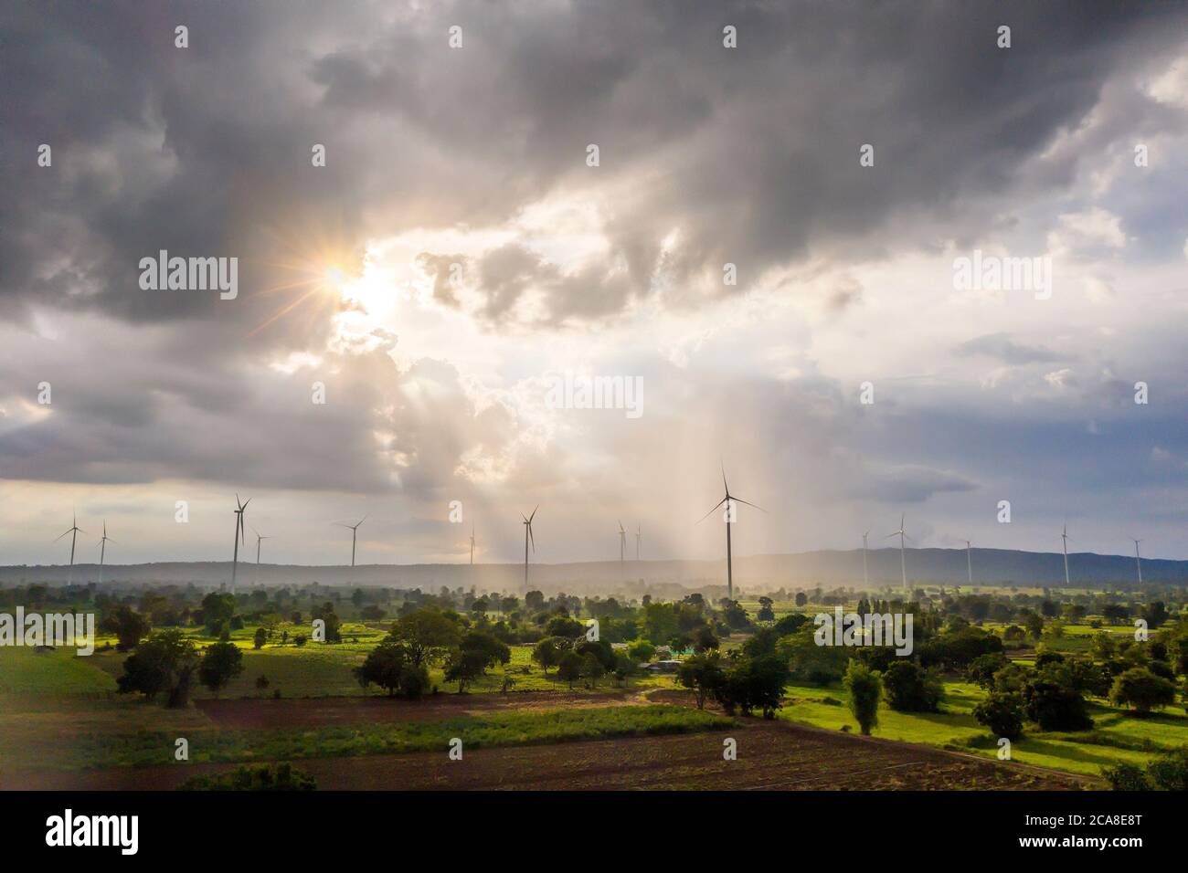 Vista aerea delle turbine eoliche eco-compatibili con il campo di riso in primo piano per il concetto ambientale della Giornata della Terra. Foto Stock