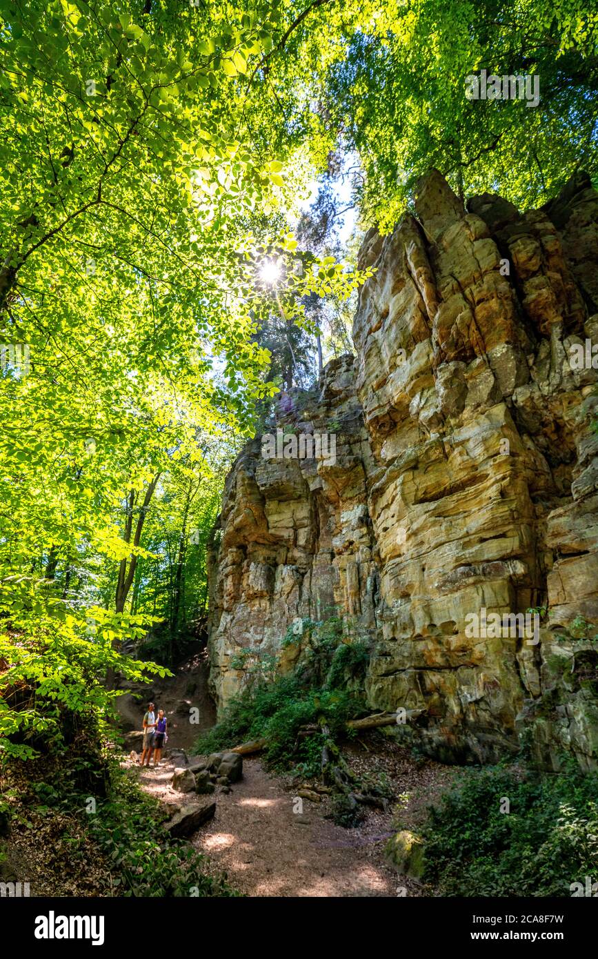 Die Teufelsschlucht, enge, begehbare Schlucht aus Sandsteinfelsen, mit steilen Felsenschluchten, bei Irrel, Naturpark Südeifel, Rheinland-Pflanz, Deu Foto Stock