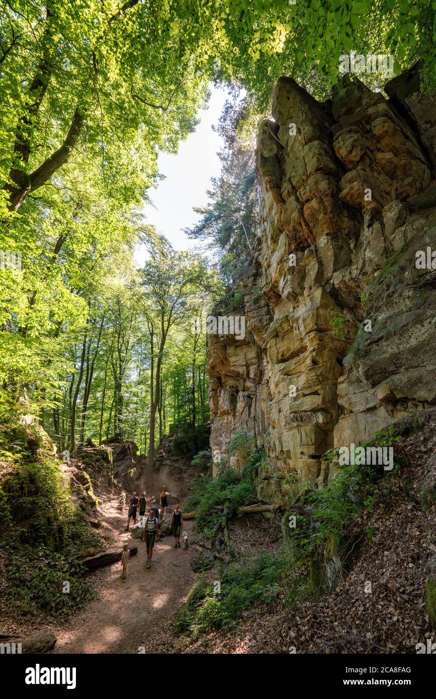 La Gola del Diavolo, stretta e passabile gola di rocce di arenaria, con ripide gole rocciose, vicino Irrel, Parco Naturale Südeifel, Rheinland-Pflanz, Germania Foto Stock