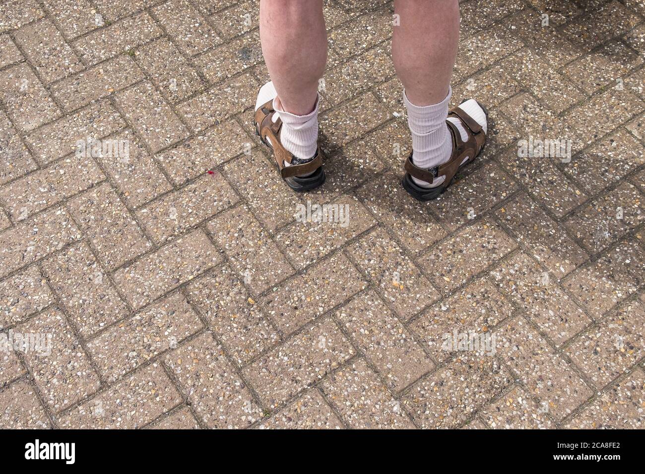Le gambe di un uomo che indossa calze e sandali. Foto Stock