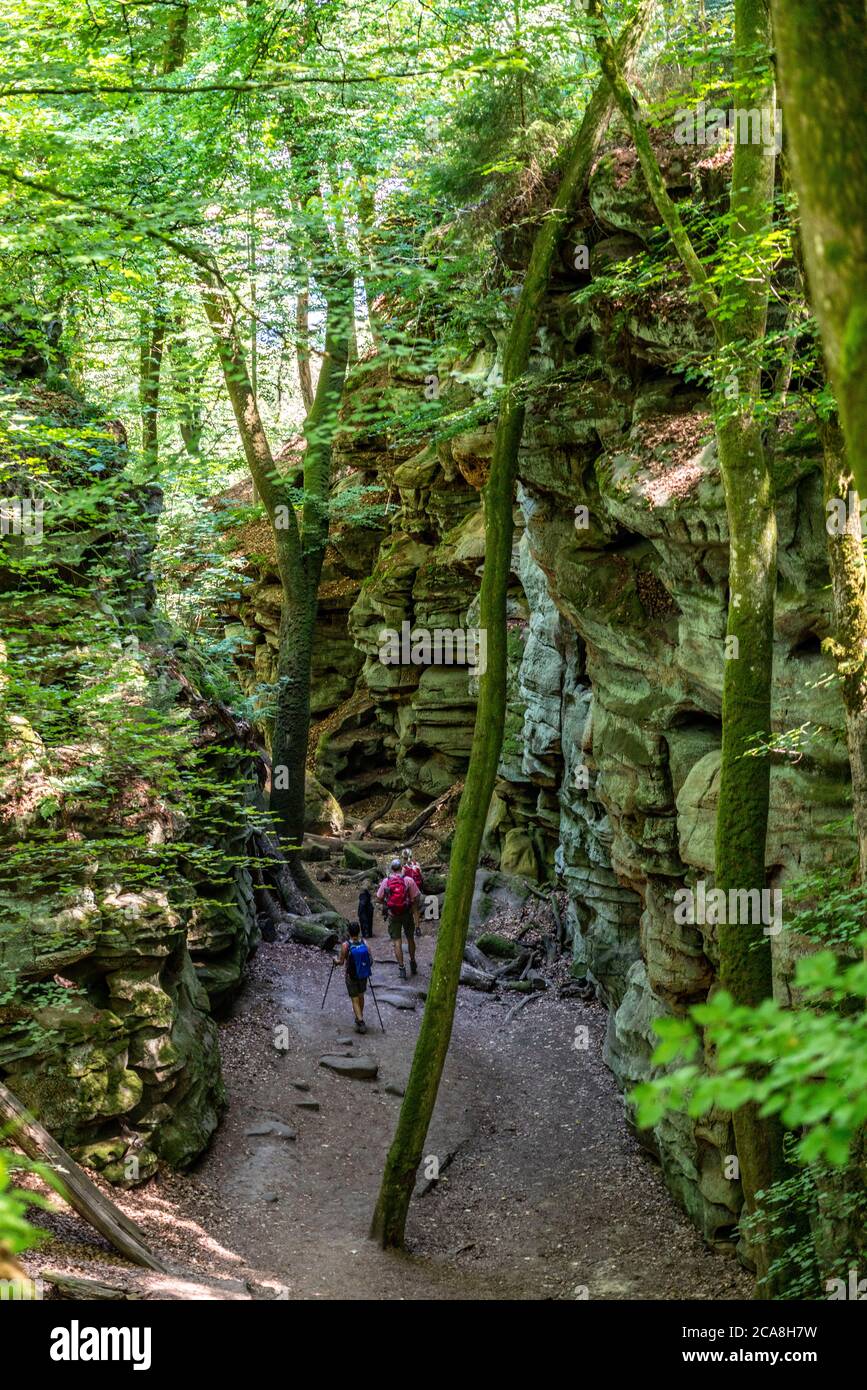 La Gola del Diavolo, stretta e passabile gola di rocce di arenaria, con ripide gole rocciose, vicino Irrel, Parco Naturale Südeifel, Rheinland-Pflanz, Germania Foto Stock