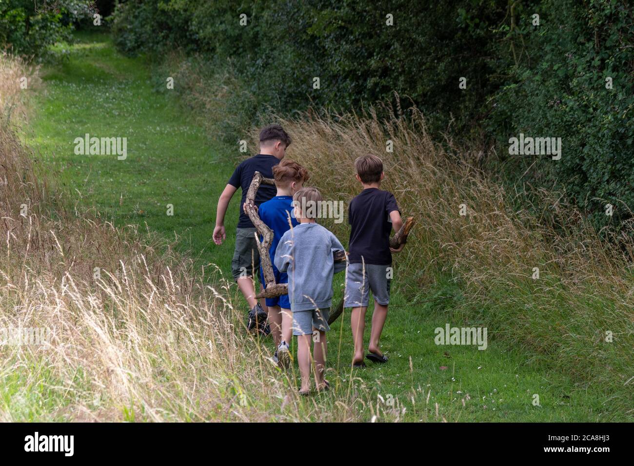 Quattro ragazzi in gioco, con un grande ramo, in estate in un parco di campagna, Regno Unito Foto Stock