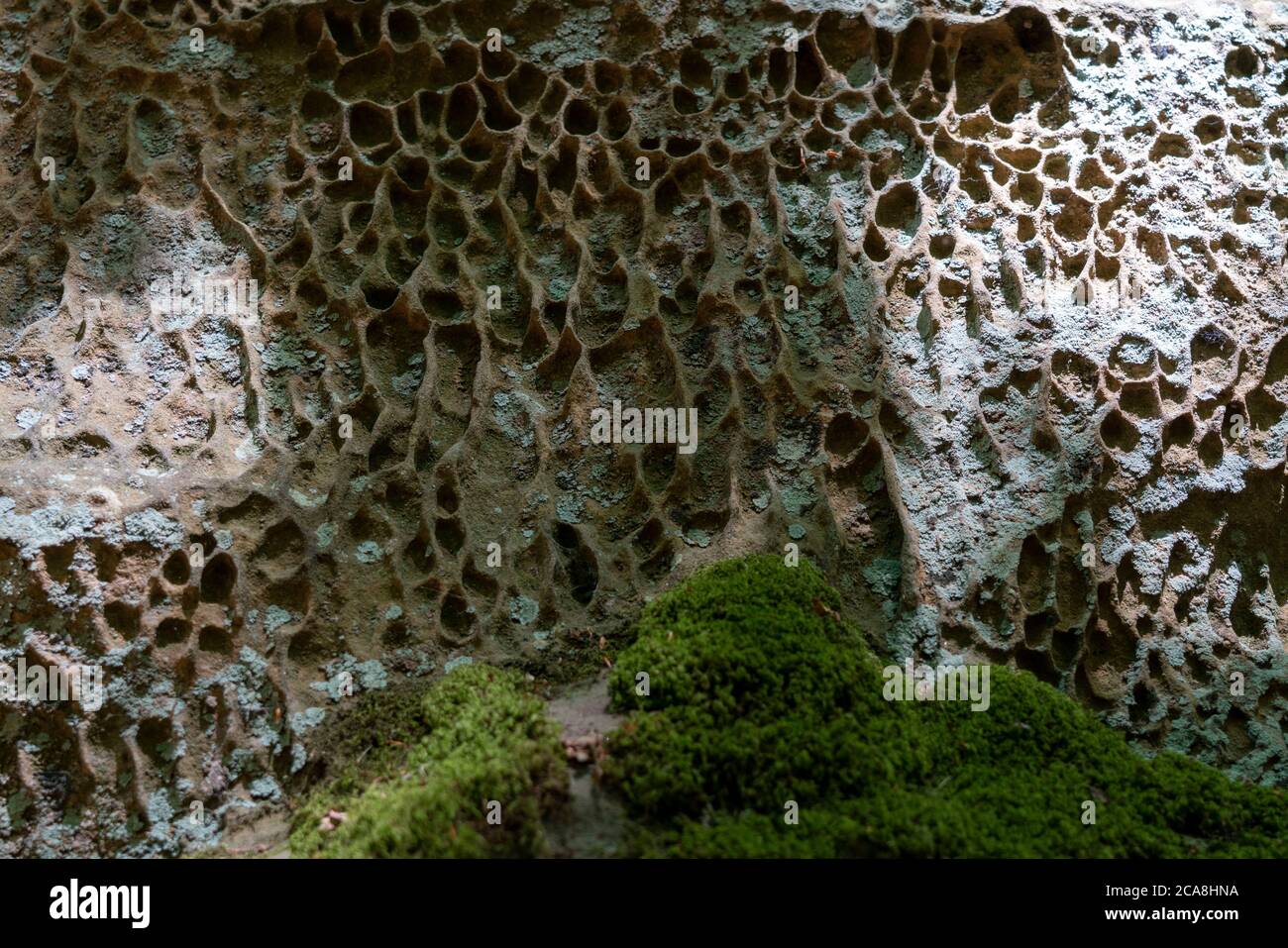 Gola del Diavolo, erosioni di arenaria nella roccia, vicino Irrel, Parco Naturale Südeifel, Rheinland-Pflanz, Germania, Foto Stock