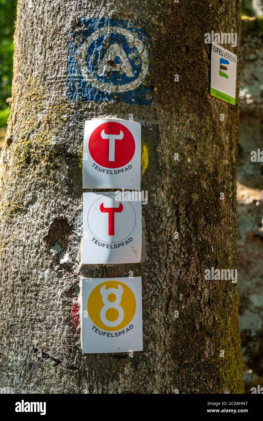 Indicazioni per escursioni su vari sentieri escursionistici nella Gola del Diavolo, vicino Irrel, Parco Naturale Südeifel, Rheinland-Pflanz, Germania, Foto Stock