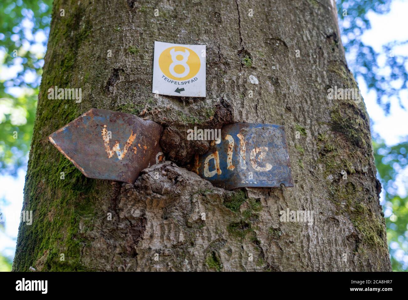Indicazioni per escursioni su vari sentieri escursionistici nella Gola del Diavolo, vicino Irrel, Parco Naturale Südeifel, Rheinland-Pflanz, Germania, Foto Stock