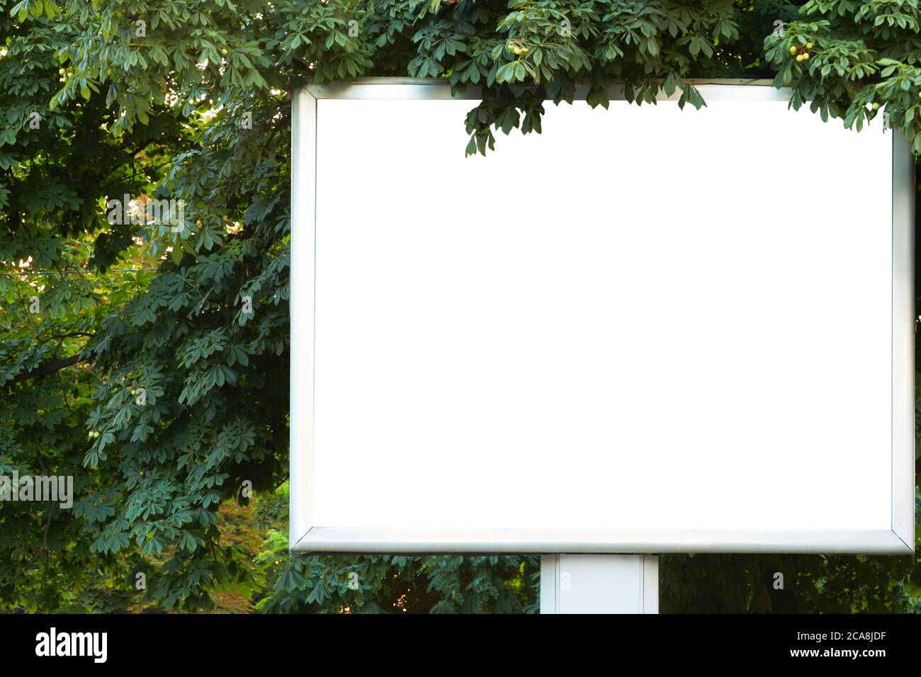 Cartelloni vuoti sulla strada. Pubblicità all'aperto Foto Stock
