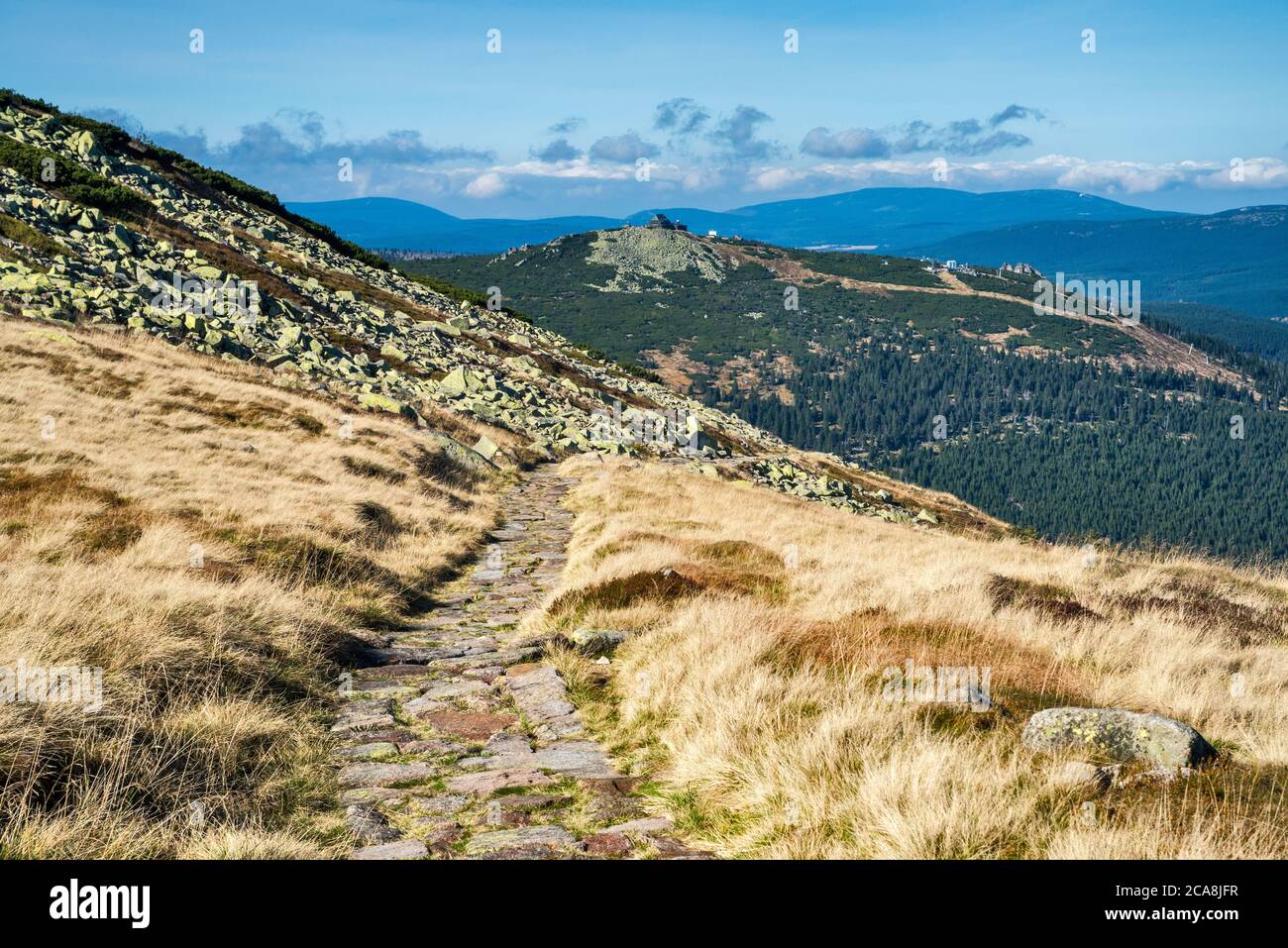Sentiero sopra la linea del legno, in autunno, Szrenica in lontananza, Karkonosze montagne, Karkonosze Parco Nazionale, bassa Slesia, Polonia Foto Stock