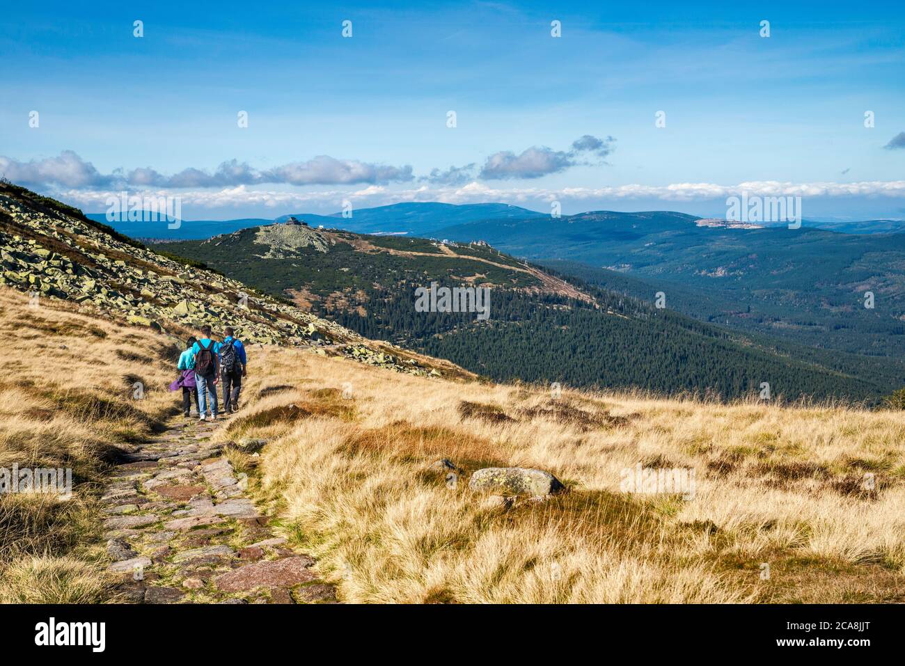 Escursionisti a percorso sopra la linea di legno, in autunno, Szrenica vetta in distanza, Karkonosze montagne, Karkonosze Parco Nazionale, bassa Slesia, Polonia Foto Stock