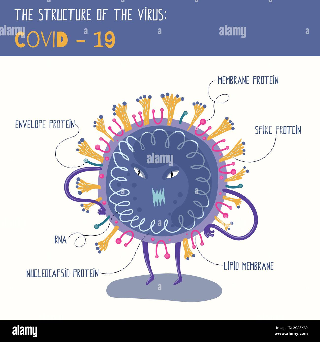 Illustrazione vettoriale con carattere cartoon coronavirus. Schema della struttura virale per un poster per bambini. Illustrazione Vettoriale