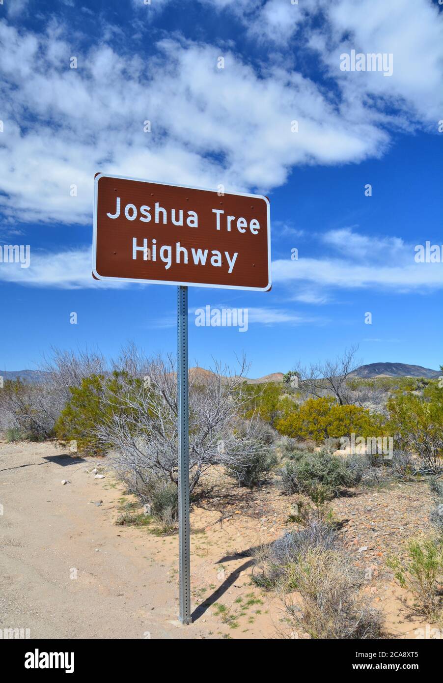 Cartello Joshua Tree Highway in Nevada. Foto Stock