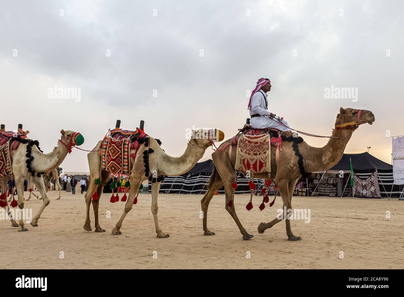 Saudi Arab Camel rider in un tradizionale safari nel deserto in abqaiq Arabia Saudita. 10 gennaio 2020 Foto Stock