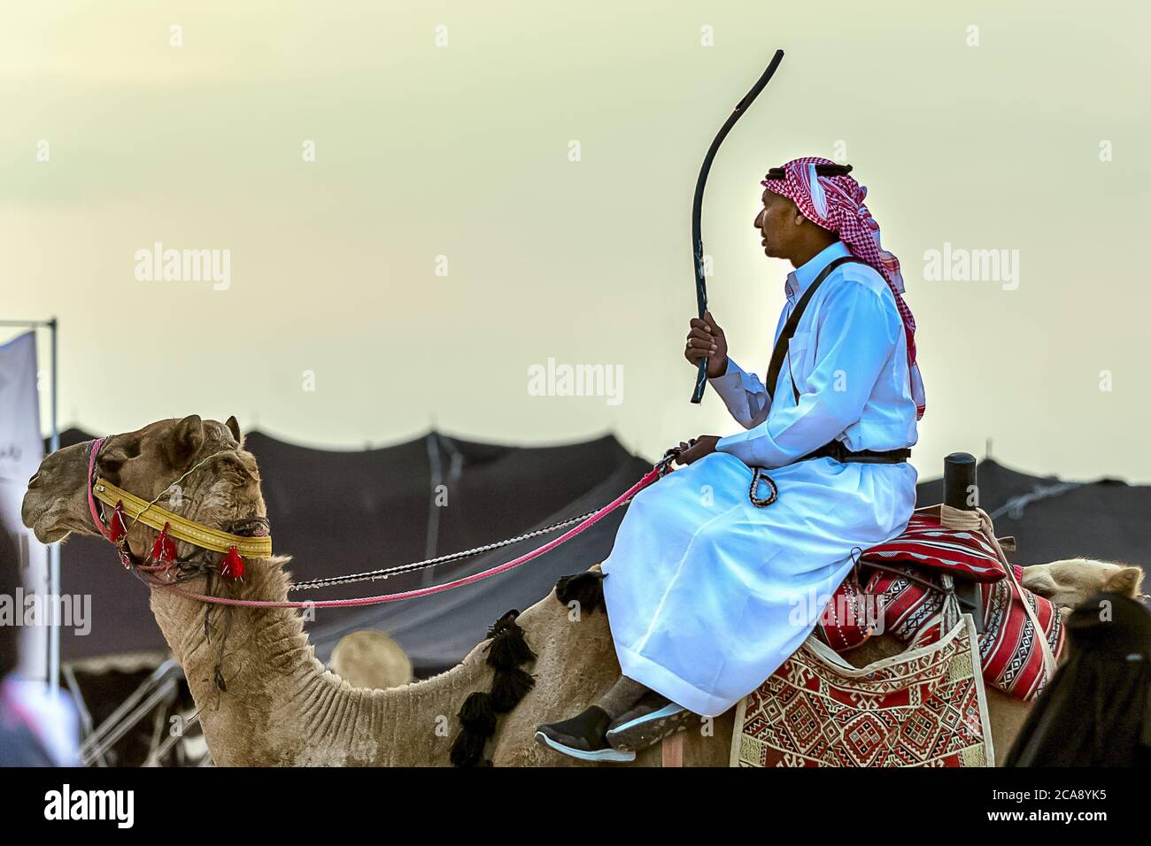 I cavalieri arabi sauditi del cammello nel tradizionale festival safari nel deserto in abqaiq Arabia Saudita. 10 gennaio 2020 Foto Stock