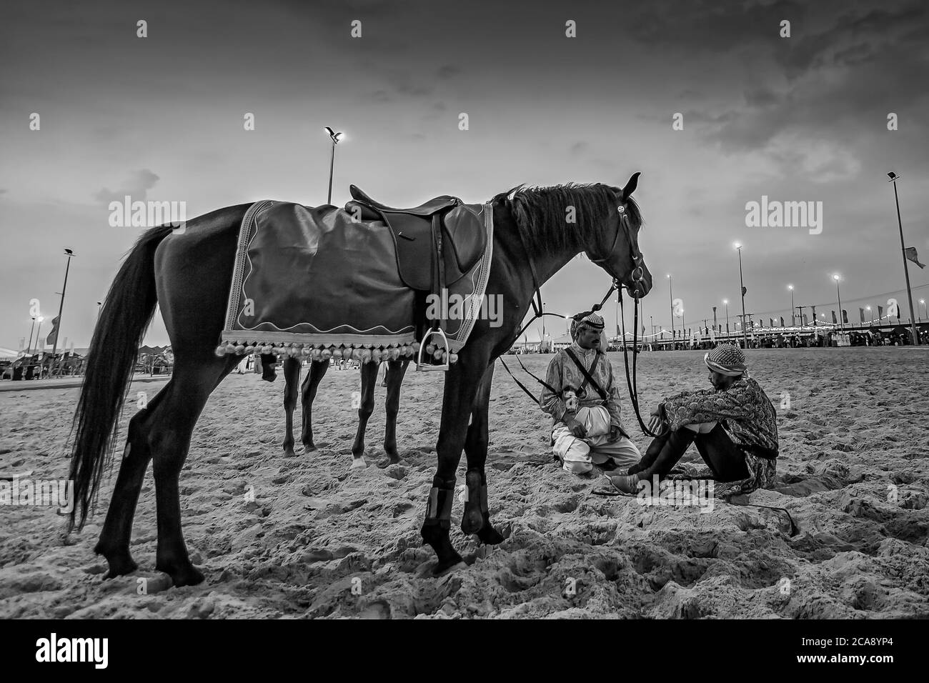 Cavaliere Saudita e cavallo in tradizionale safari nel deserto festival abqaiq Arabia Saudita. Foto Stock