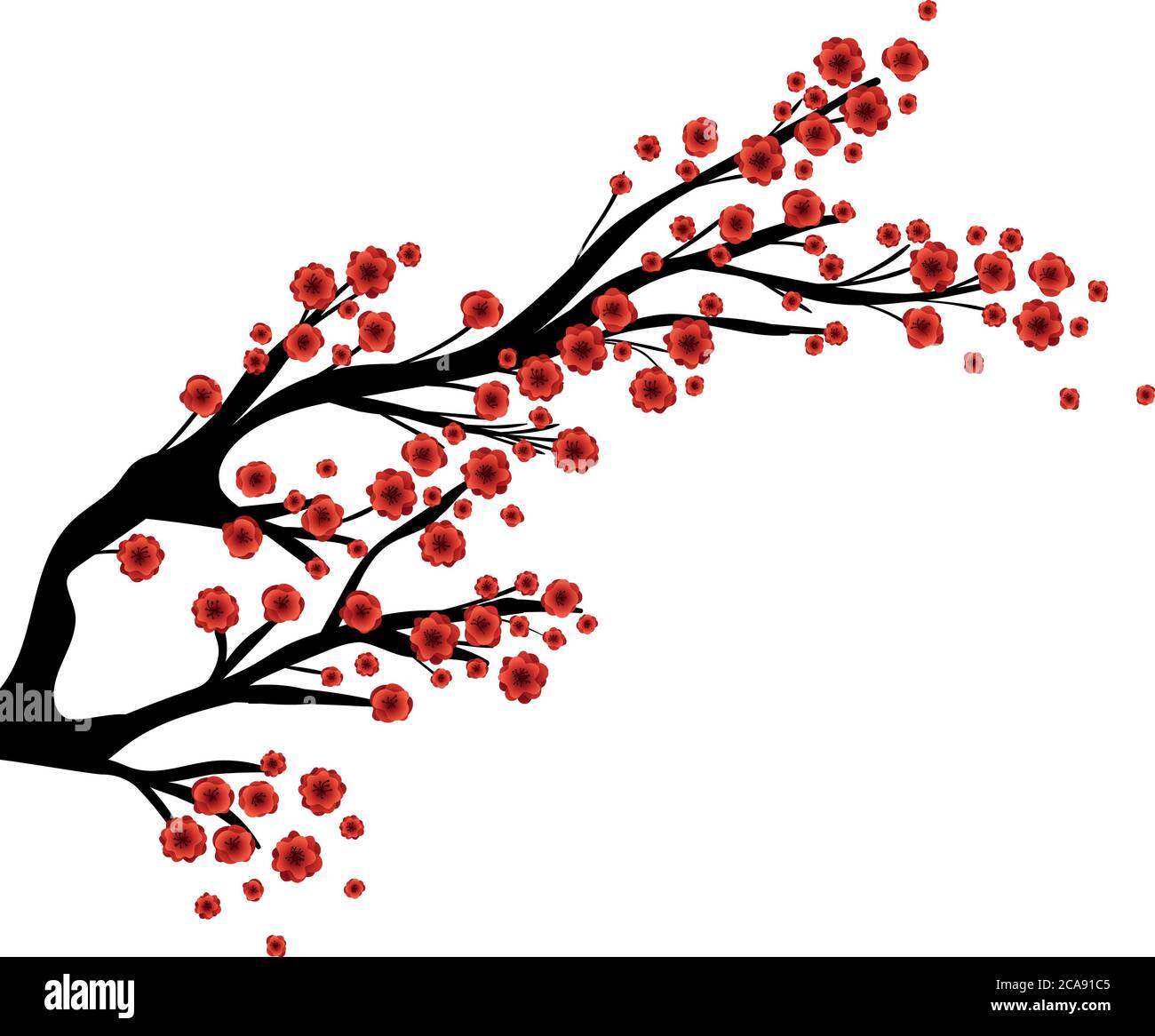 Rami albero con fiori rossi disegno, natura stagione vegetale ambiente  naturale ed ecologia tema illustrazione vettoriale Immagine e Vettoriale -  Alamy