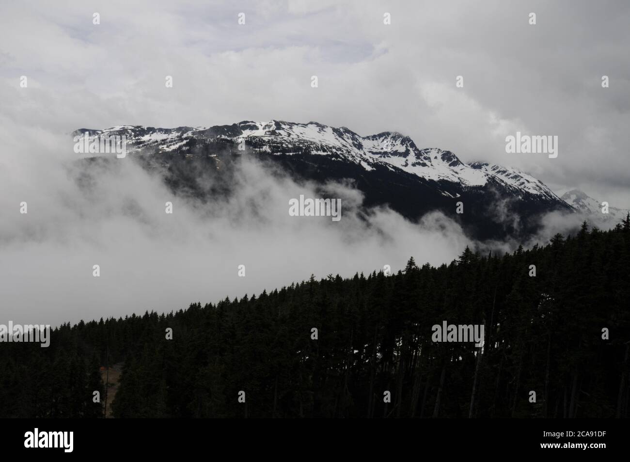 Il monte Blackcomb, innevato, si avvolse nella nebbia di metà estate sopra Whistler, una stazione sciistica della British Columbia, Canada. Foto Stock