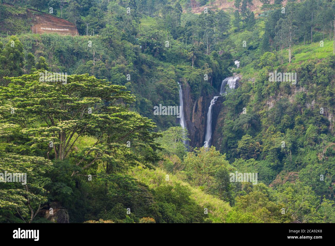 Cascate di Ramboda, Ramboda, Nuwara Eliya, Provincia Centrale, Sri Lanka, Asia Foto Stock