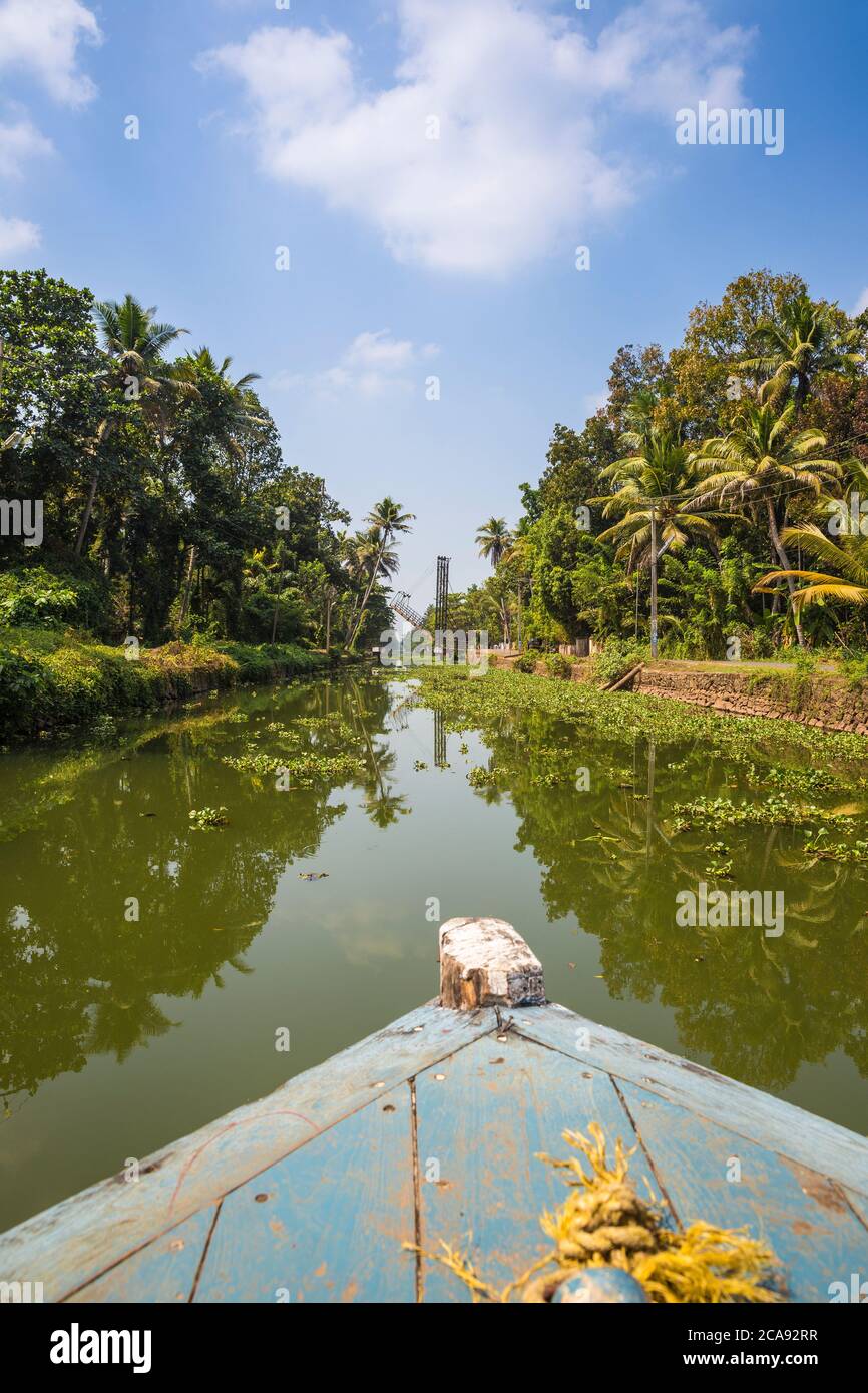Backwaters, Alappuzha (Aleppey), Kerala, India, Asia Foto Stock