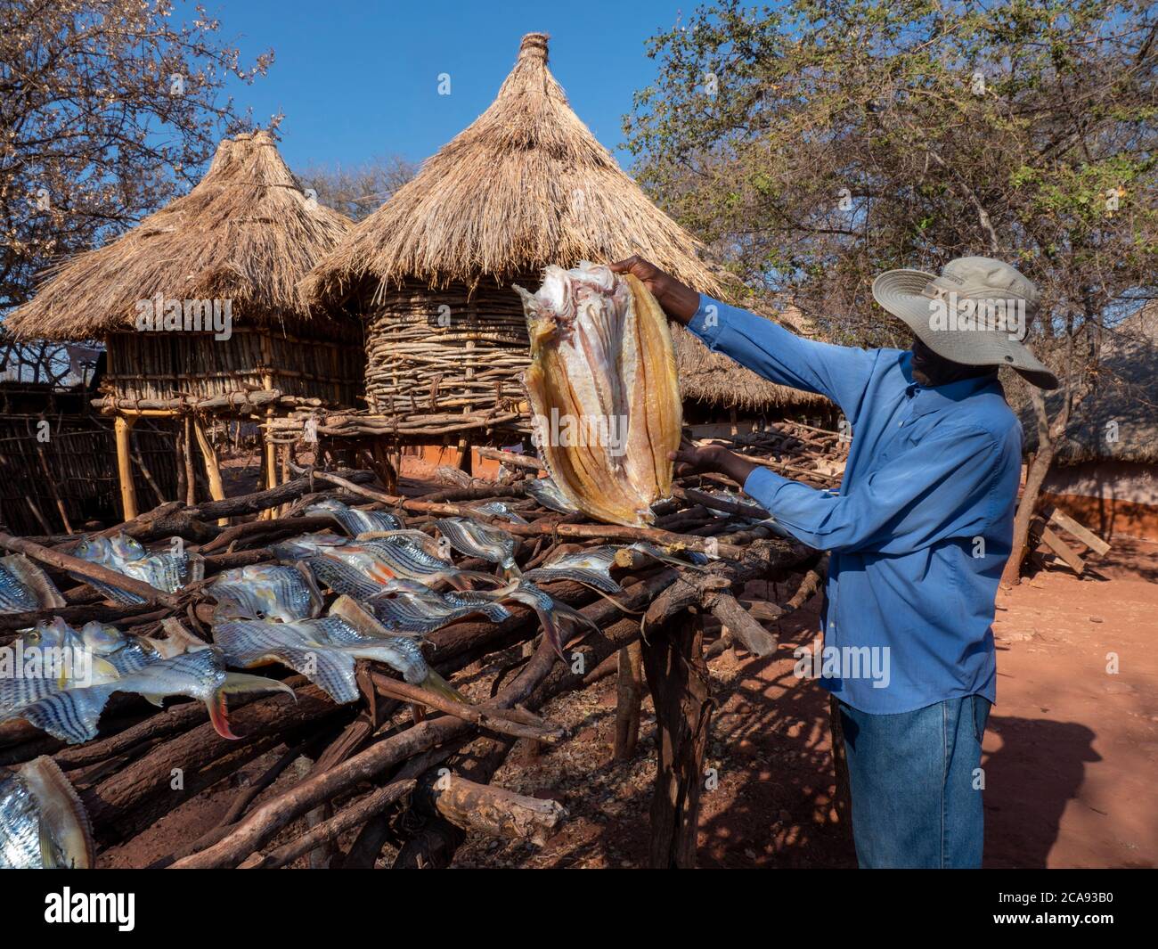 I giorni pescano del pesce che asciuga al sole nel villaggio di pescatori di Musamba, sulla riva del lago Kariba, Zimbabwe, Africa Foto Stock I giorni pescano del pesce che asciuga al sole nel villaggio di pescatori di Musamba, sulla riva del lago Kariba, Zimbabwe, Africa Foto Stock