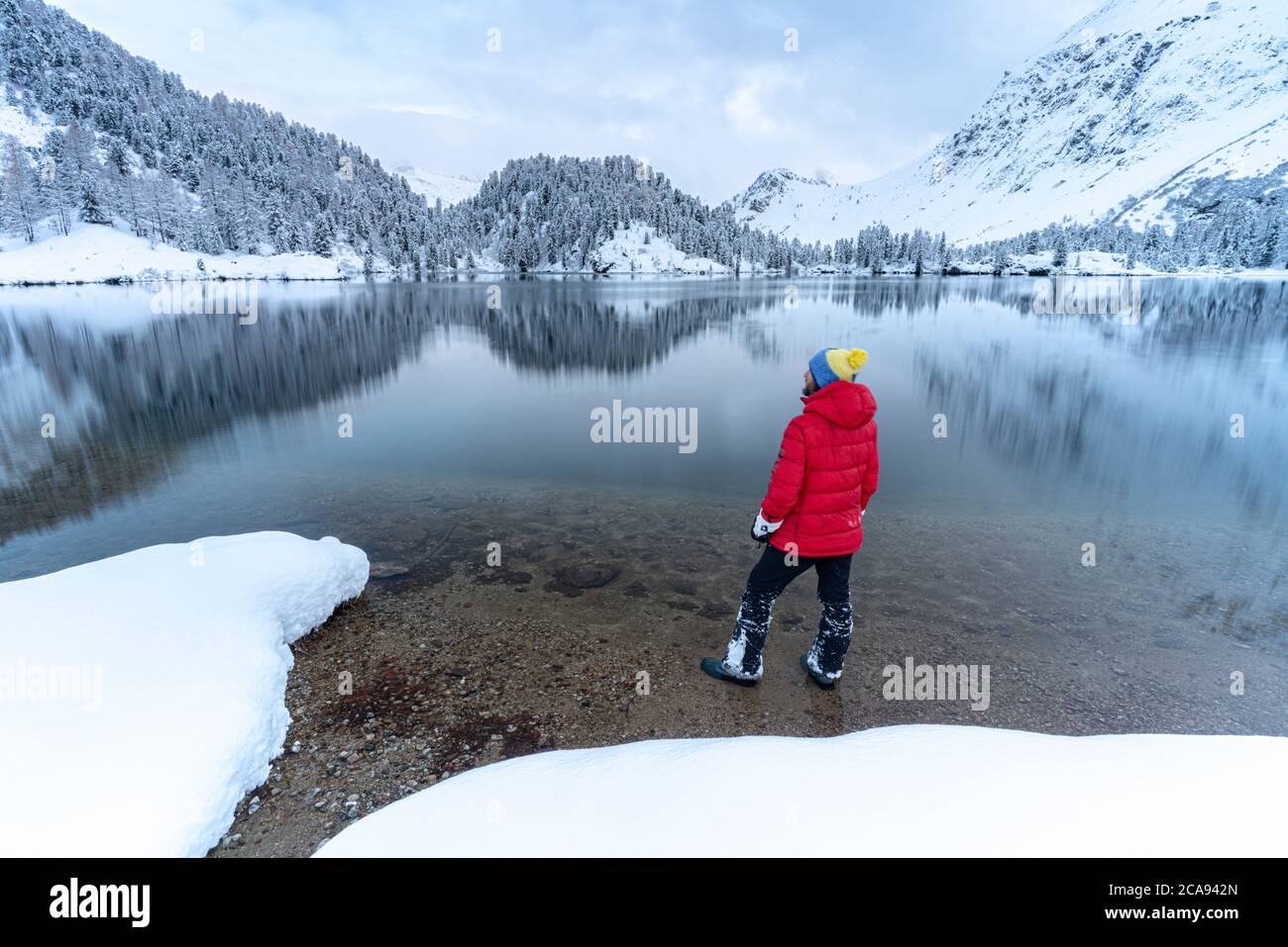 Uomo sulle rive del Lago di Cavloc ammirando i boschi innevati, Valle di Bregaglia, Engadina, cantone di Graubunden, Svizzera, Europa Foto Stock