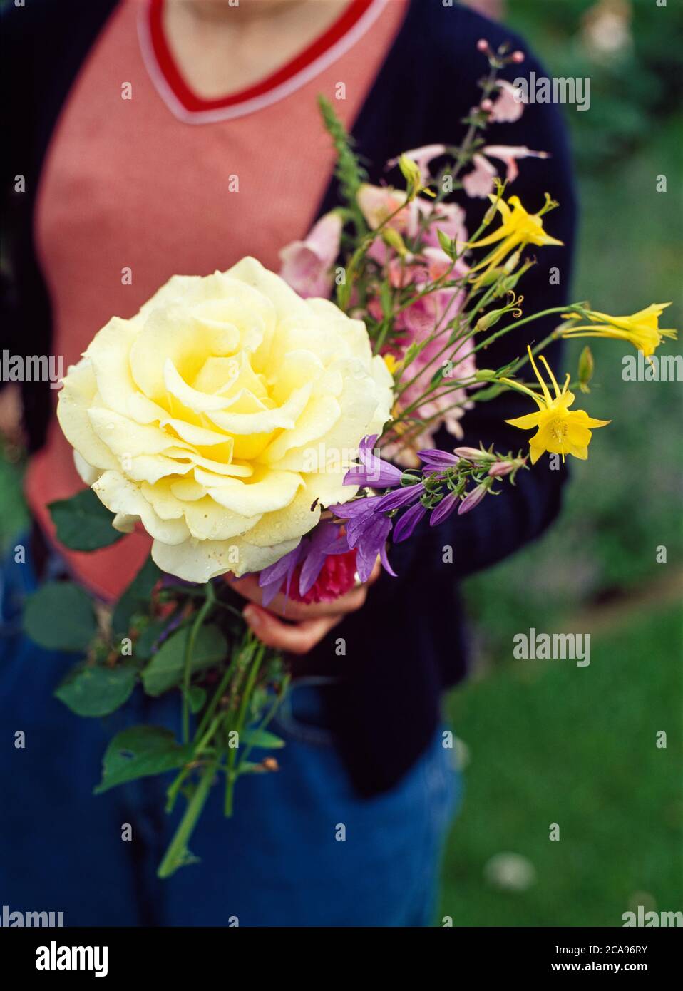 Bouquet di fiori country tenuto a mano con Rosa 'Elina' Foto Stock