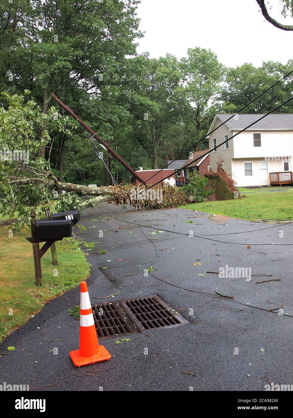 Jefferson Township, Morris County, New Jersey, Stati Uniti. 4 agosto 2020. Isaia lascia 1.3 milioni senza potere mentre la tempesta si dirige a nord nel New England. Linee elettriche abbattute da venti elevati. Tutto NJ è sotto un orologio del tornado in questo momento. Credito; Tom Cassidy/Alamy Live News Foto Stock