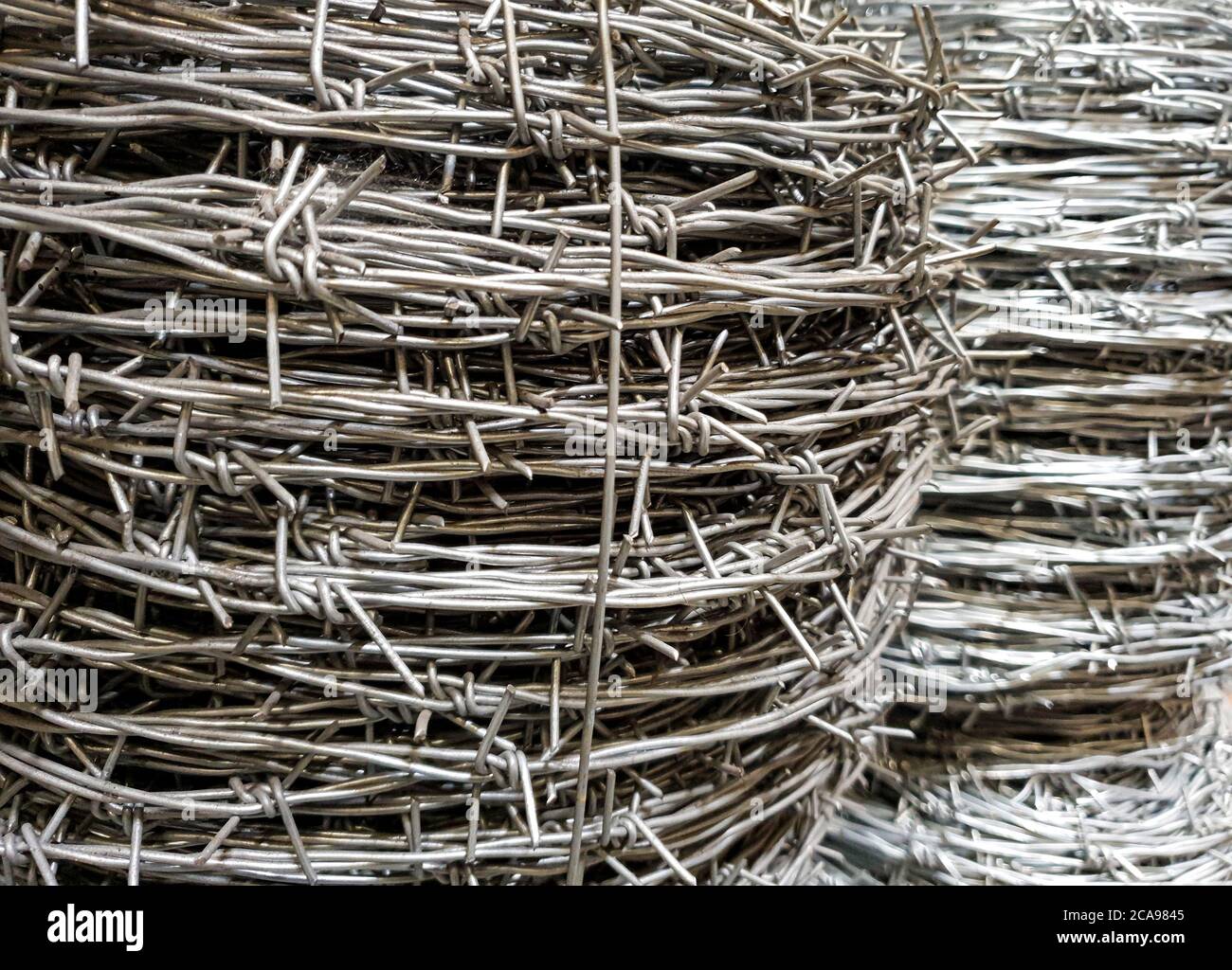 filo dentato per recinzione, filo zincato con punte per l'industria, protezione Foto Stock