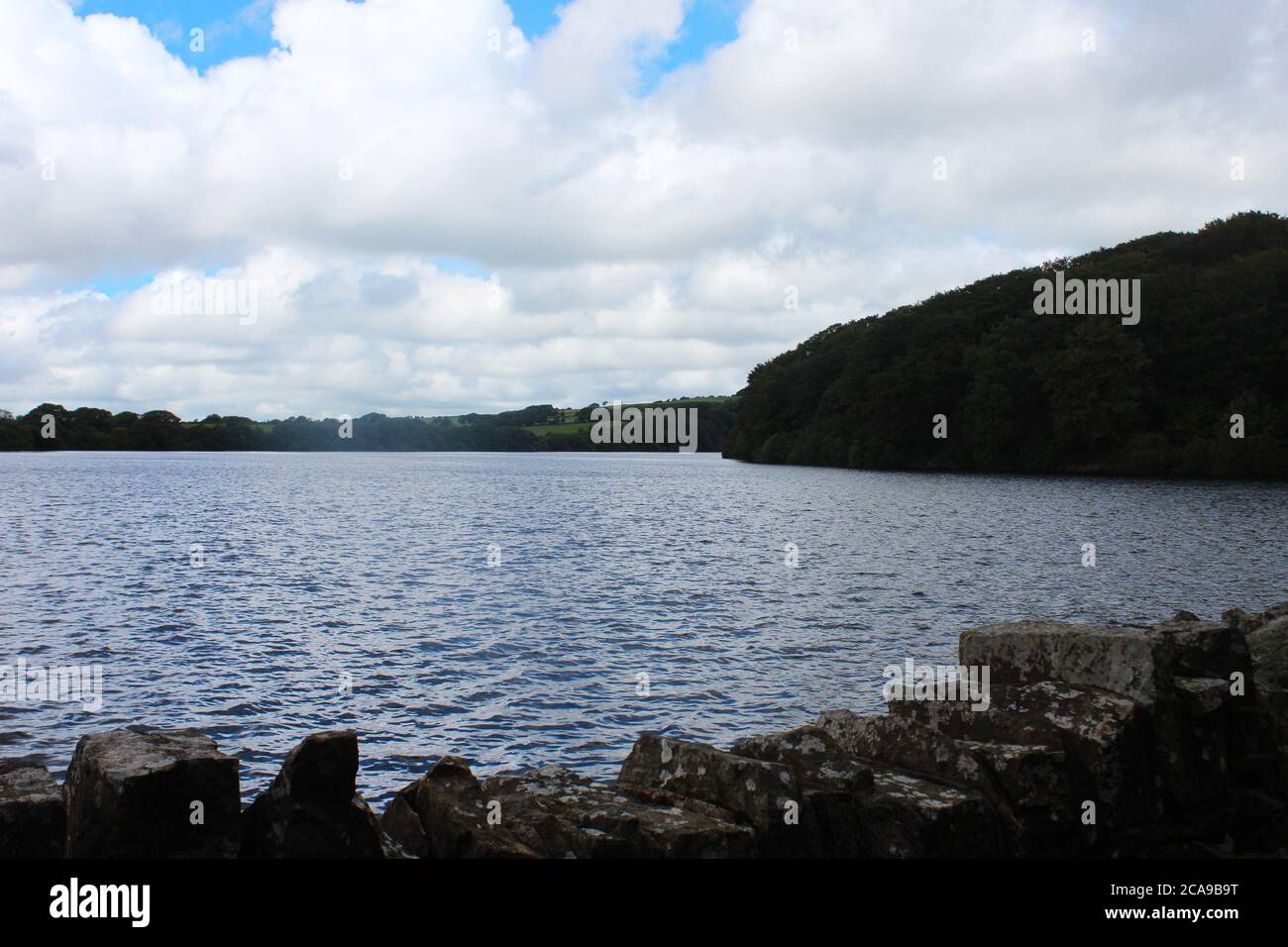 Anglezarke vista lago artificiale dal ponte, inc alberi, a Anglezarke, Chorley, Inghilterra Foto Stock