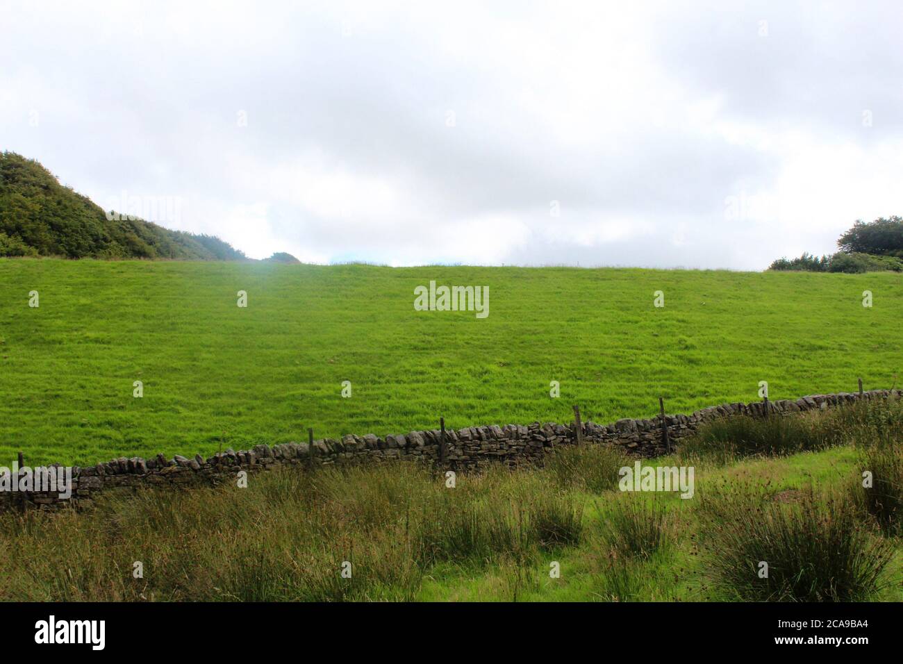 Campo ripido erba collina in Anglezarke, Chorley, Inghilterra Foto Stock