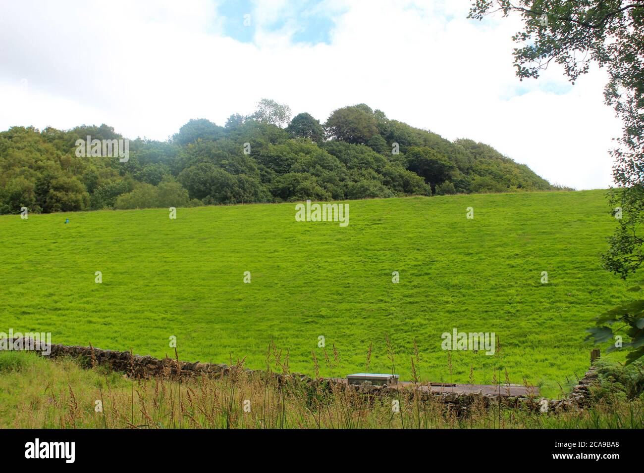 Campo ripido erba collina in Anglezarke, Chorley, Inghilterra Foto Stock