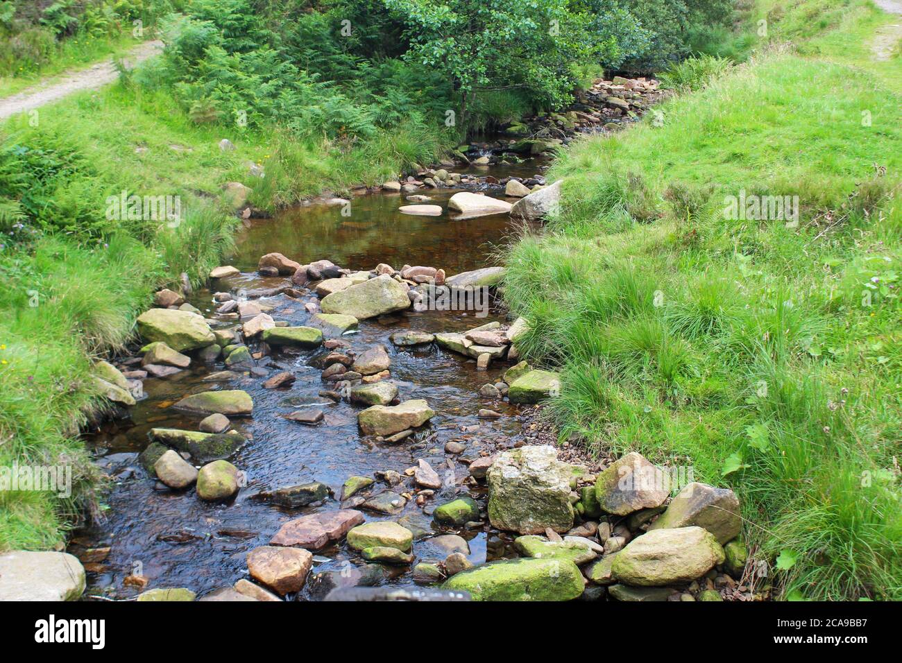 Fiume roccioso di pietra calcarea, Lead Mines Clough ad Anglezarke, Chorley, Inghilterra Foto Stock