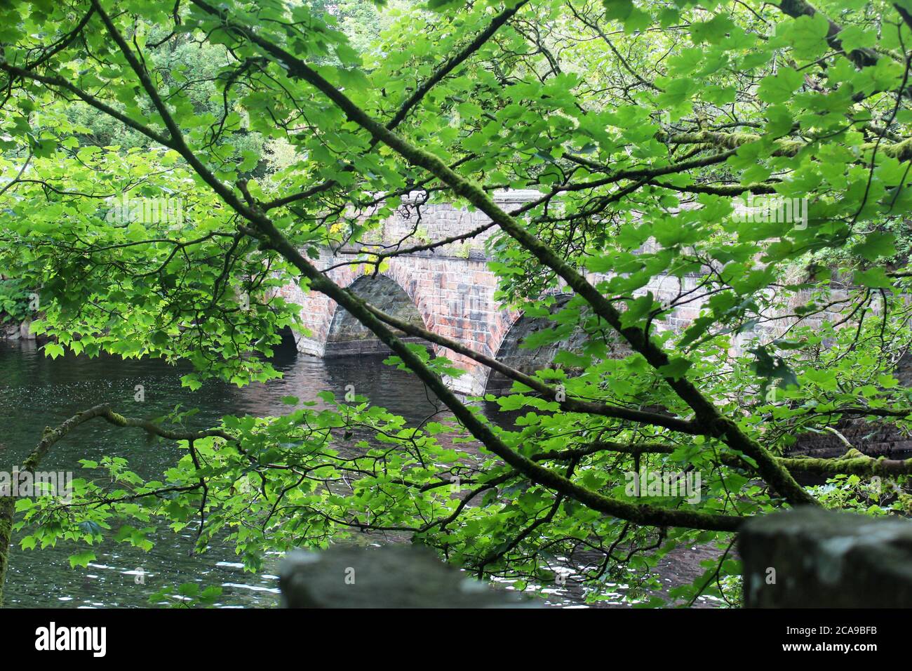 Piccolo ponte ad arco sopra il bacino idrico di Anglezarke visto attraverso rami di alberi e foglie a Anglezarke, Chorley, Inghilterra Foto Stock