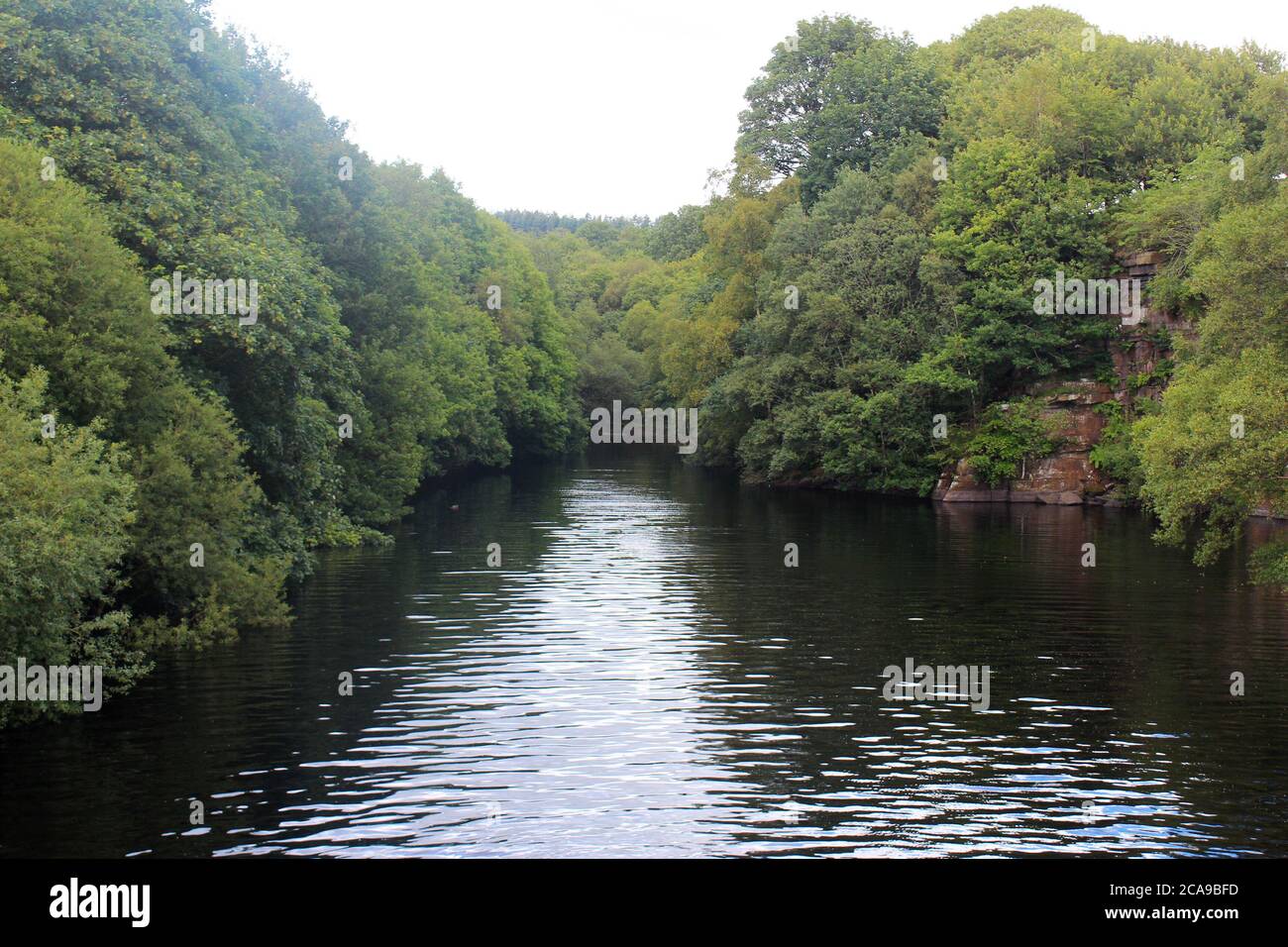 Anglezarke Reservoir attraverso alberi fitti e bassi, vista dal ponte di Anglezarke, Chorley, Inghilterra Foto Stock