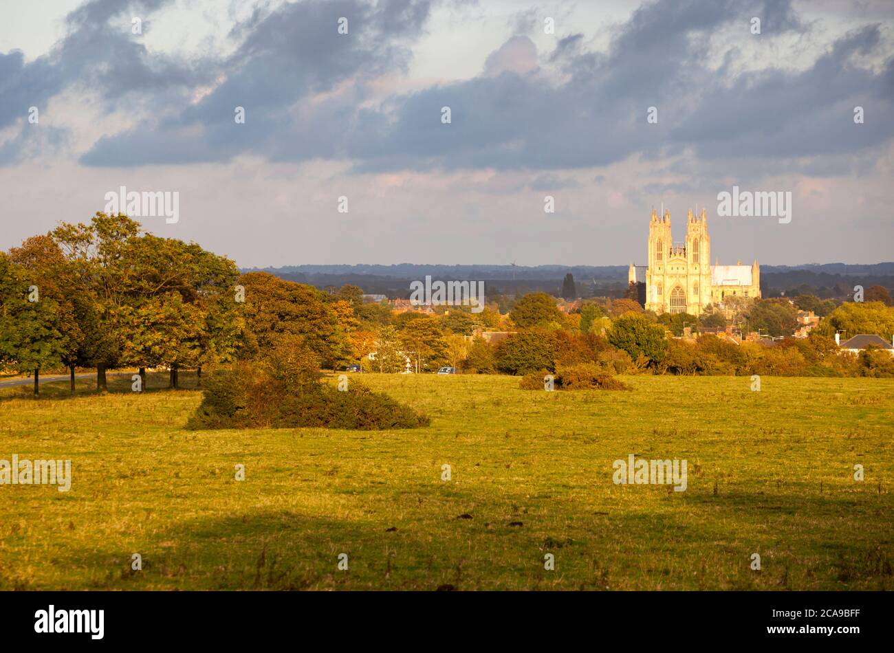 Vista autunnale attraverso il Westwood, una storica zona di pascolo comune verso Beverley Minster nello Yorkshire orientale Foto Stock
