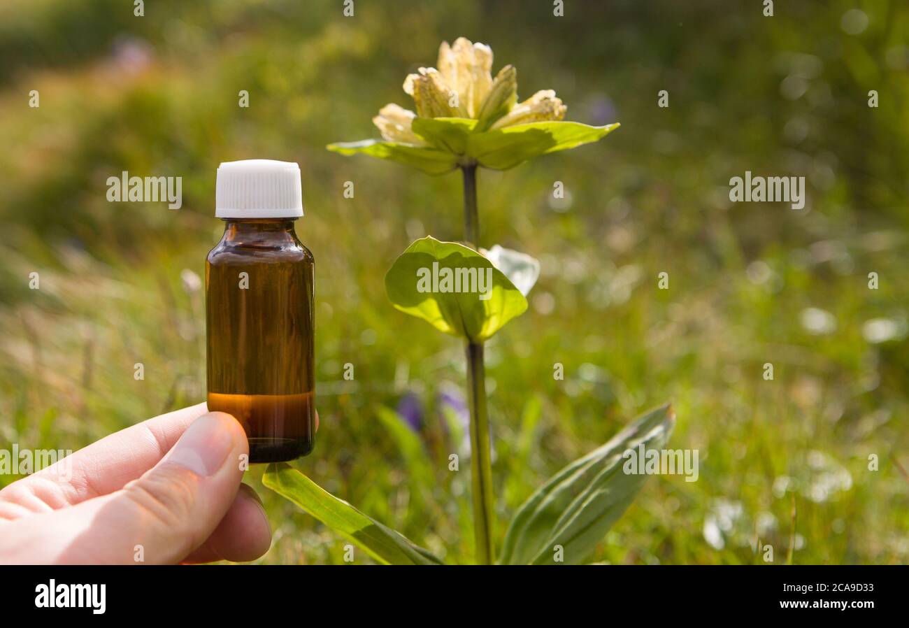 Bottiglia marrone con estratto di erbe, fiori. Foto Stock