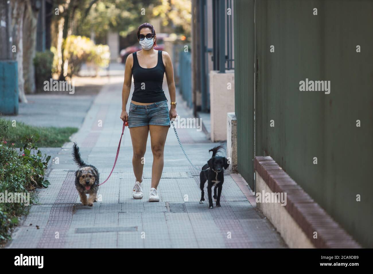 Fuoco selettivo di una donna in una maschera che cammina con cani - concetto di nuova normalità Foto Stock