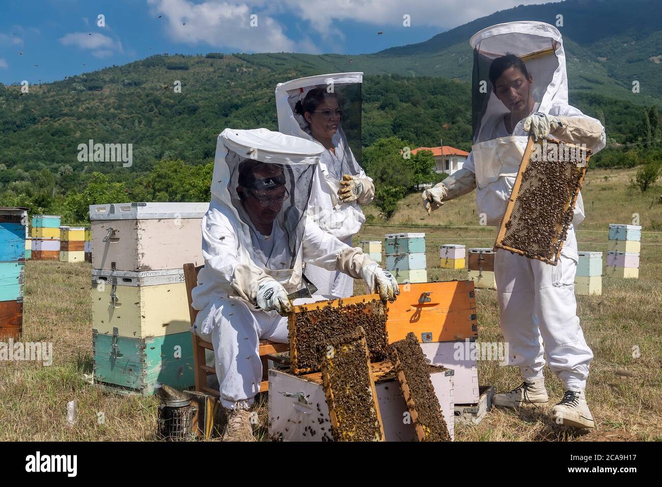 Florina, Grecia - 10 luglio 2020: Apicoltori che lavorano per raccogliere il miele in una zona di Florina, nel nord della Grecia. Apicoltura biologica Foto Stock