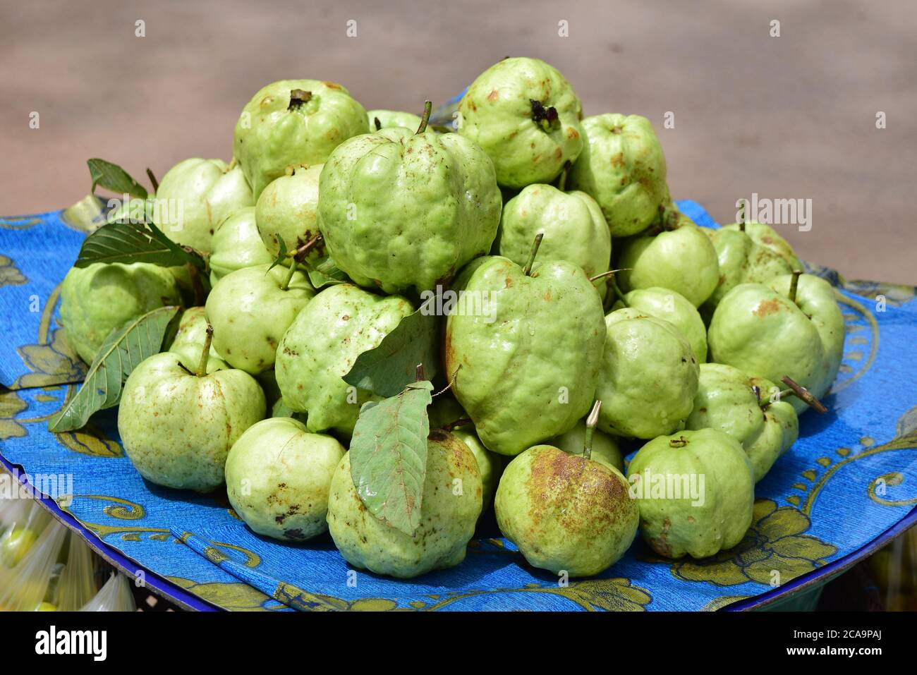 Guava in Cambogia Foto Stock