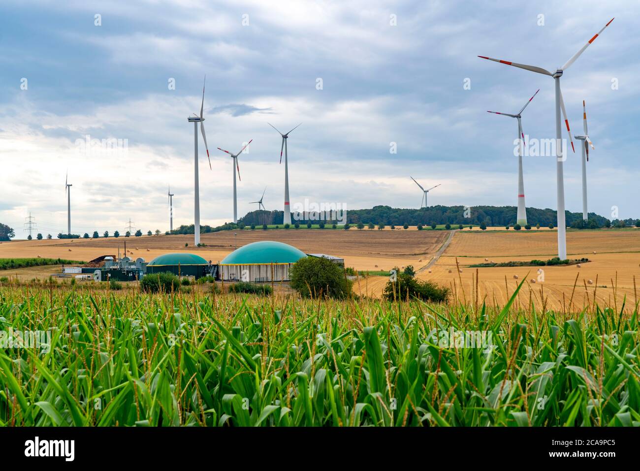 Parco eolico, impianto di biogas, vicino al villaggio di Eisenach, a sud di Bitburg, Eifel, Renania-Palatinato. Germania, Foto Stock