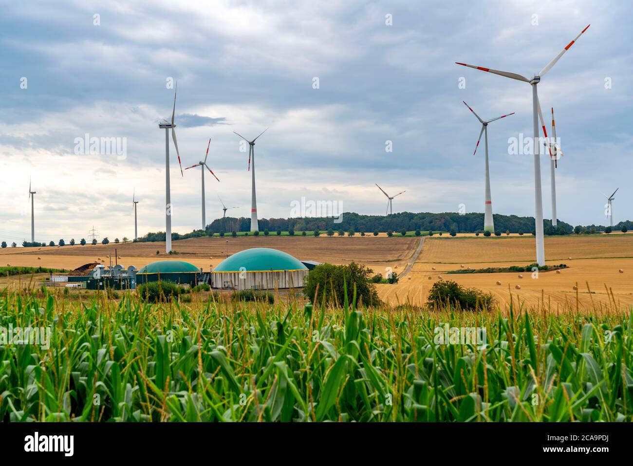 Parco eolico, impianto di biogas, vicino al villaggio di Eisenach, a sud di Bitburg, Eifel, Renania-Palatinato. Germania, Foto Stock