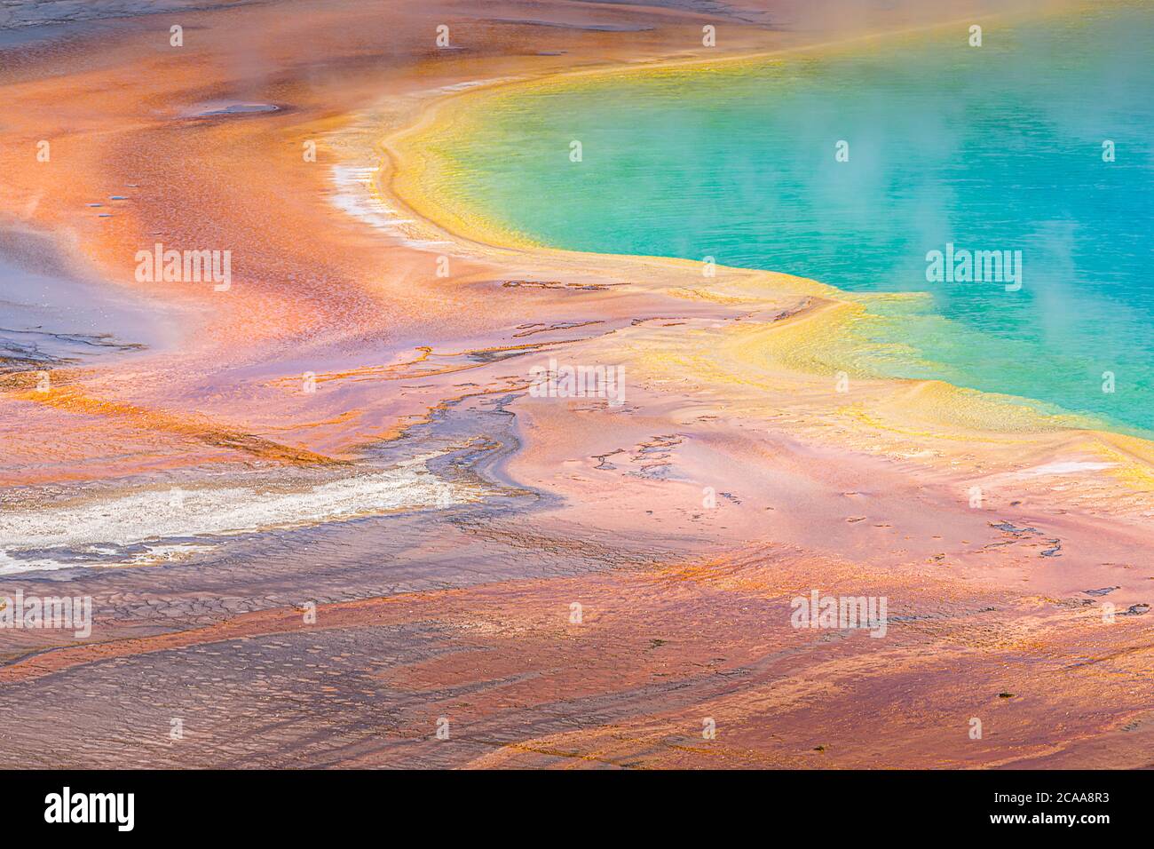 Primo piano lago di sorgente cromatica, Yellowstone National Park Foto Stock