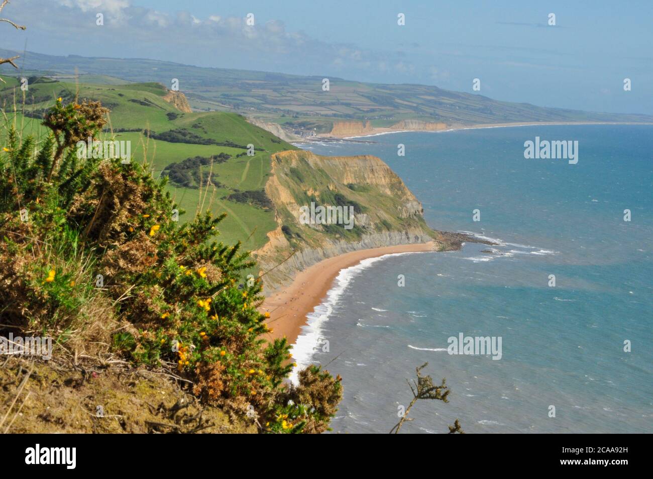 West Bay vista dalla cima del Golden Cap, il punto più alto della costa meridionale dell'Inghilterra a Dorset.UK Foto Stock