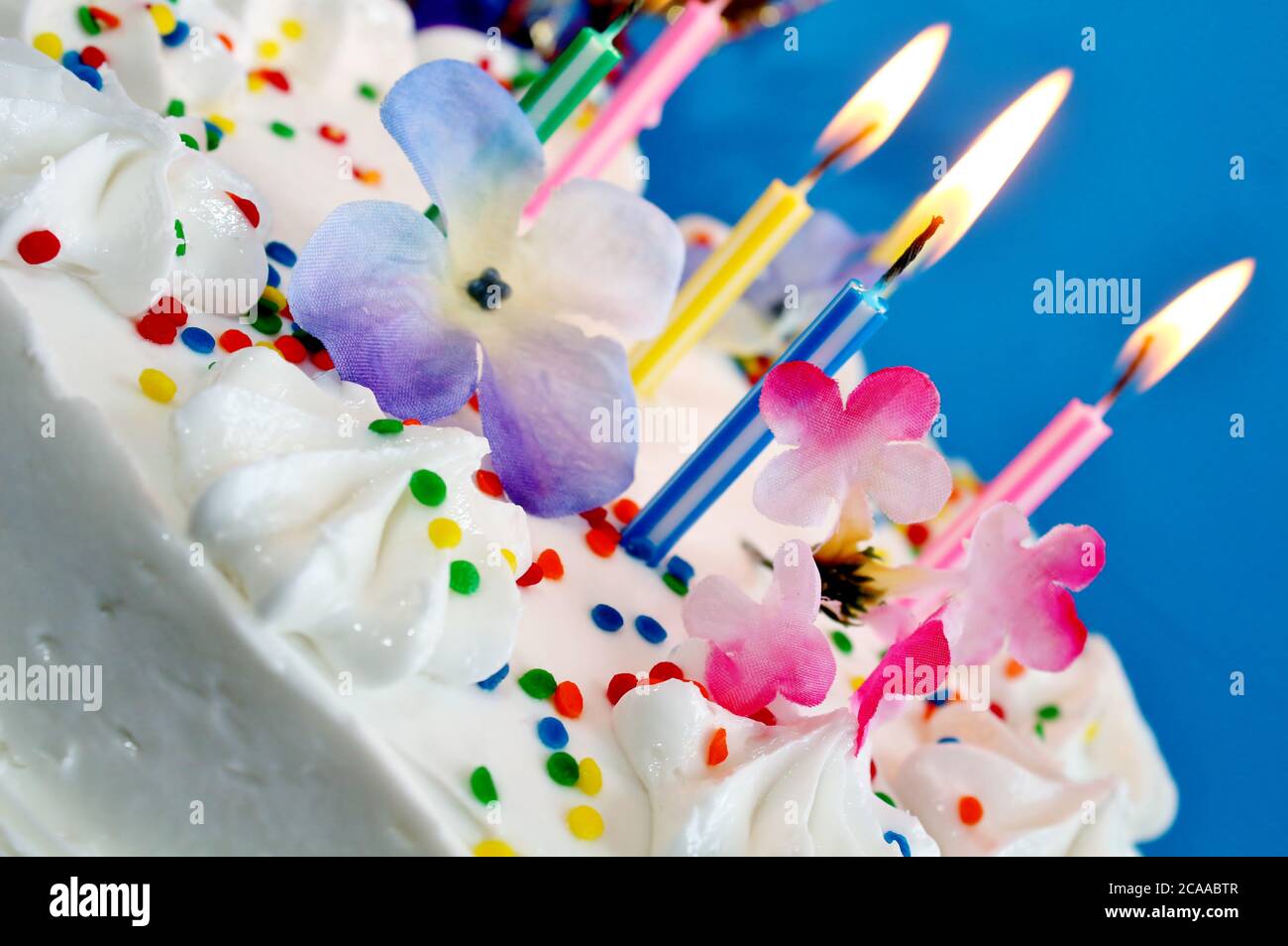 Cappello di buon compleanno, cappello di torta di buon compleanno peluche con candele multicolore cappelli da festa, compleanno per adulti ideale per il compleanno | IT