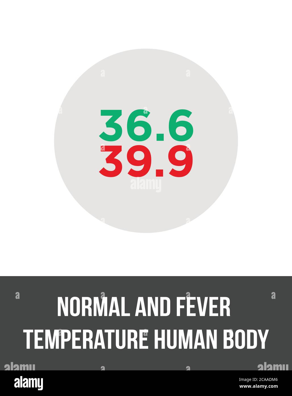 Temperatura normale e febbre corpo umano. Controllo della temperatura, test della temperatura. Termometro con indicatore di temperatura corporea alta o normale Illustrazione Vettoriale