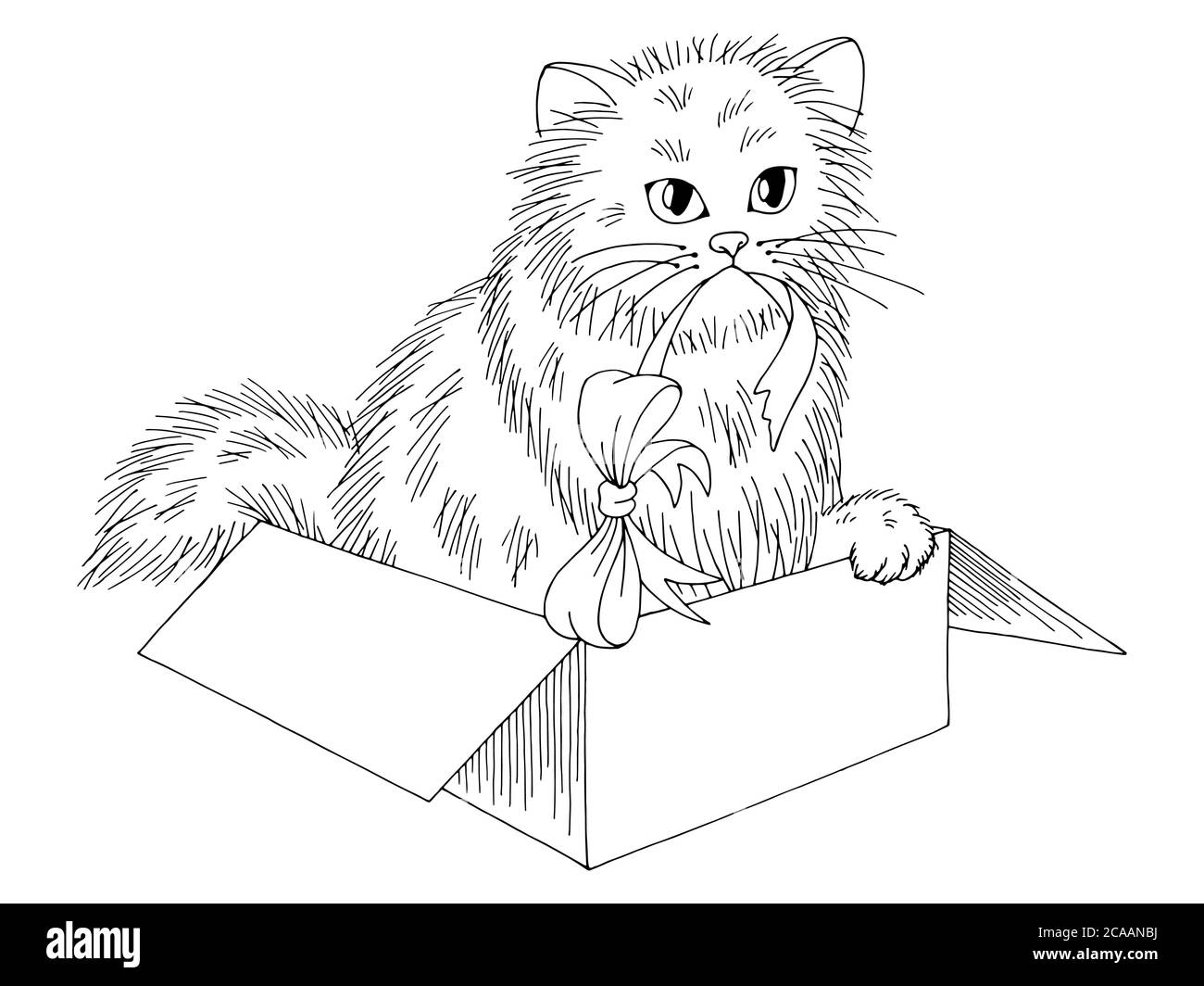 Gatto in una scatola Foto e Immagini Stock in Bianco e Nero - Alamy