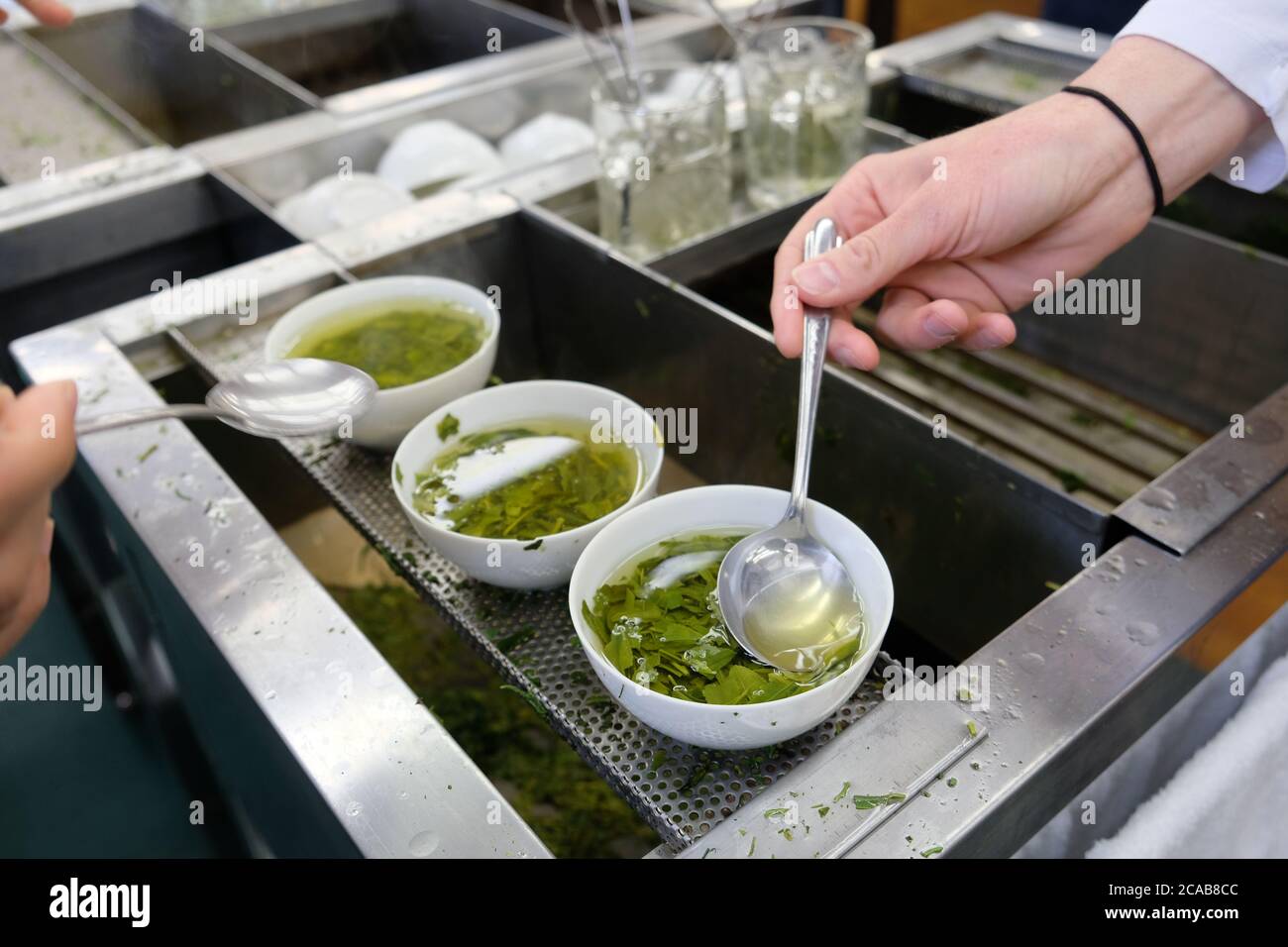 Prima asta di tè primaverile al mercato del tè di Shizuoka. Classificazione dal colore, dalla consistenza, dall'aroma e anche dal gusto del tè. Foto Stock