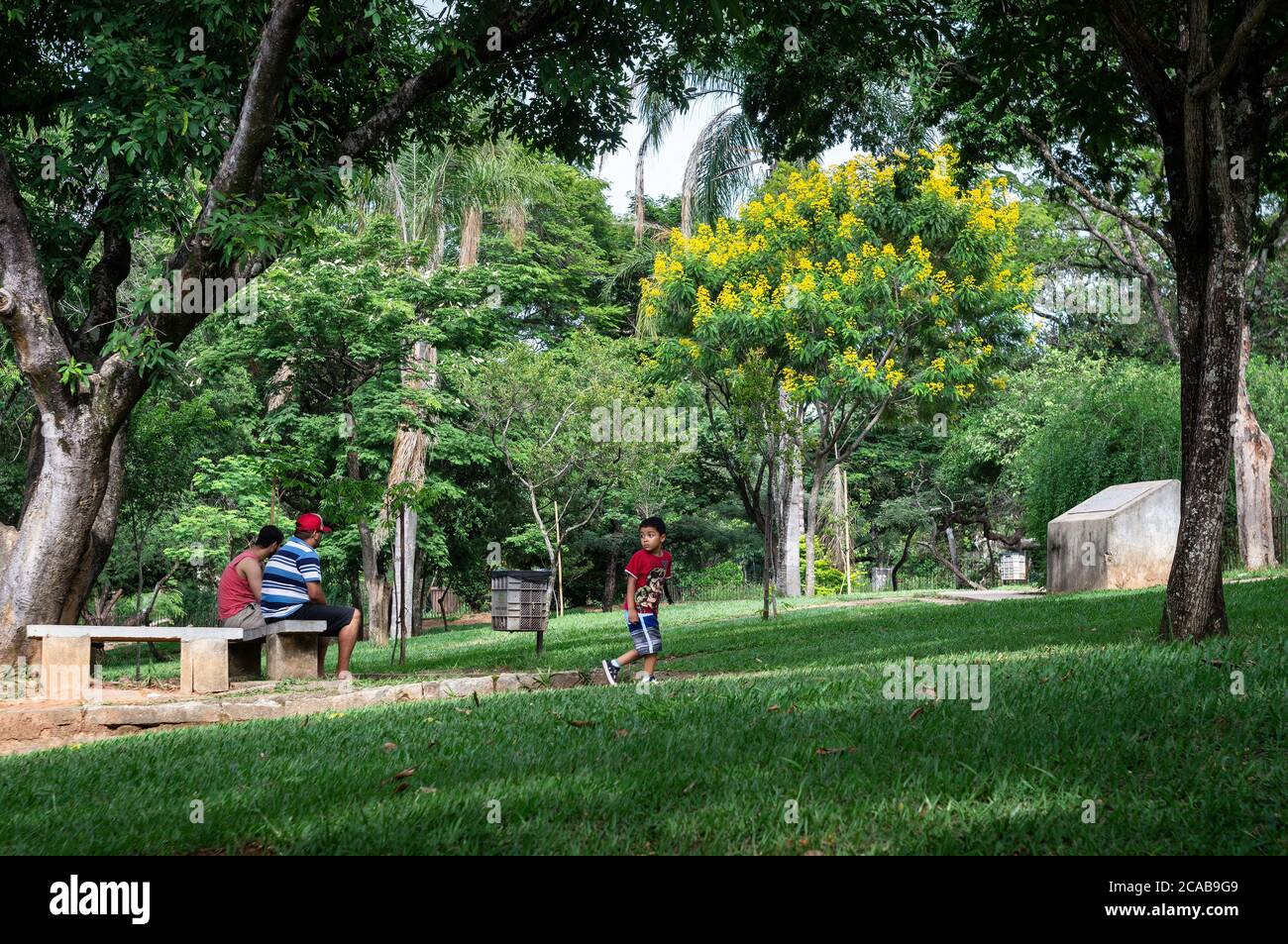 I visitatori del parco potranno godersi le aree verdi del giardino zoologico di Belo Horizonte nel tardo pomeriggio estivo. Foto Stock