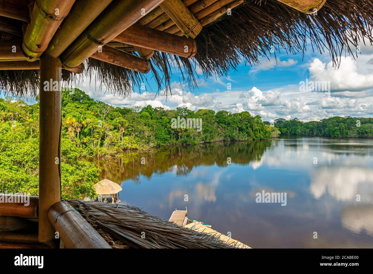 Amazon Rainforest paesaggio visto da una torre di osservazione uccelli, Yasuni parco nazionale, Ecuador. Foto Stock