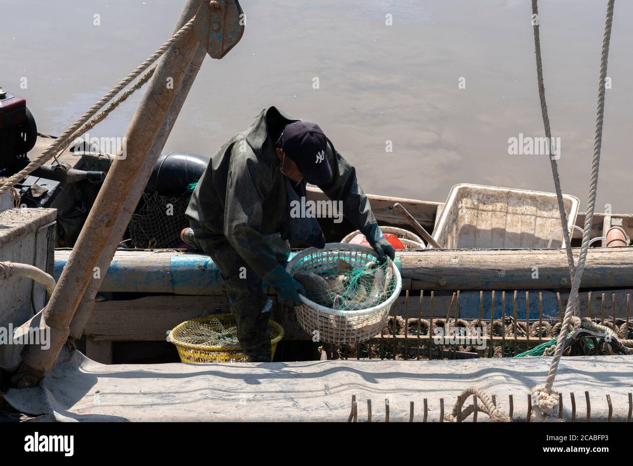 Un pescatore sposta pesce fresco raccolto dalla sua barca alla banca. Tianjin è uno dei principali porti di pesca lungo il mare di Bohai nel nord della Cina. Foto Stock